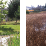 horizontal stormwater pond